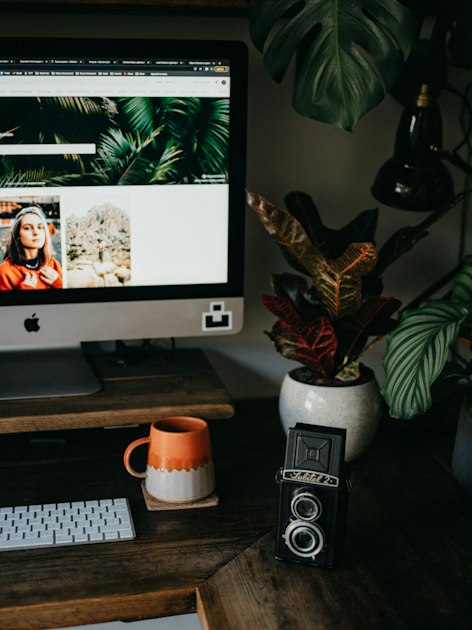 Building an Effective Plant Catalog