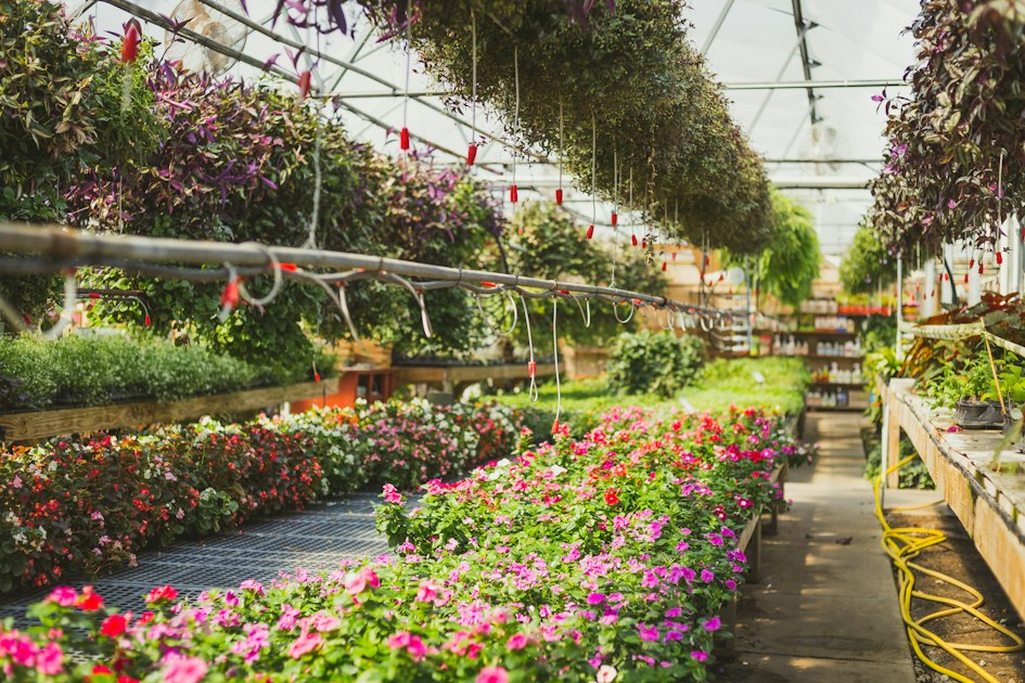Offering Landscape Design Services